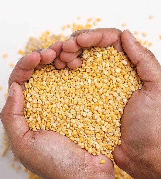 Moong Dal